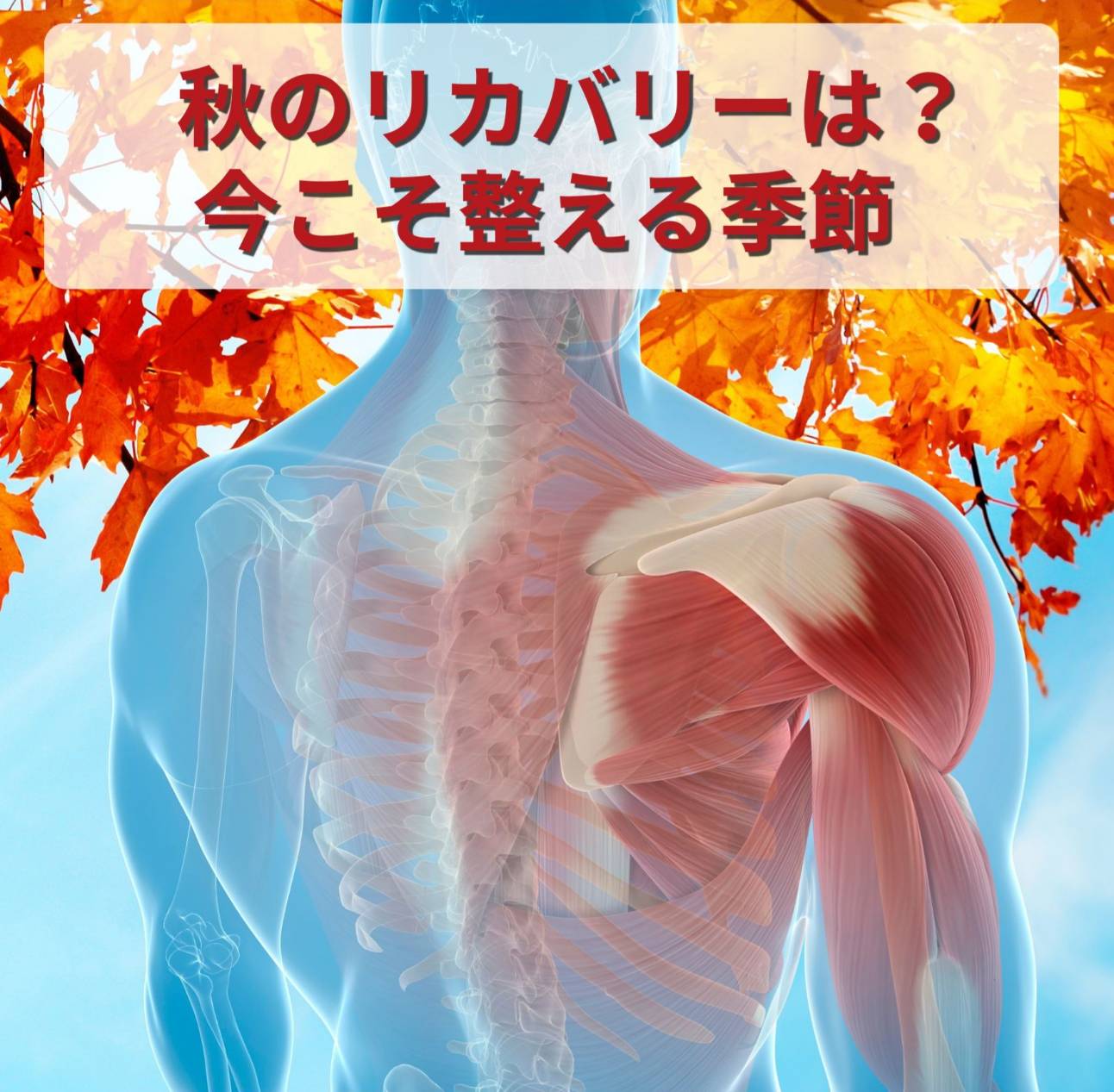 秋のアスリートリカバリー：夏よりも“今”こそ回復が重要な理由